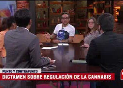 senado de la republica aprueba dictamen para regulacion de cannabis